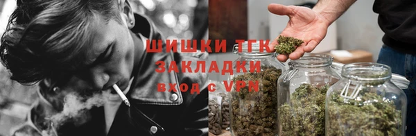 дживик Баксан