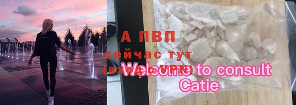 дживик Баксан