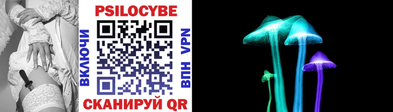 Купить закладки  Рыбное  Псилоцибиновые грибы Psilocybe 